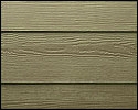 Wood Texture